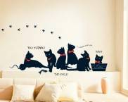 שבלונות לחתולים