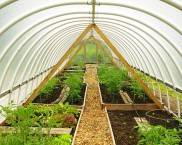 חממת צינור פלסטיק DIY