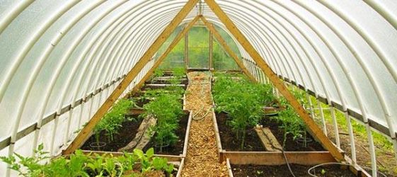 חממת צינור פלסטיק DIY