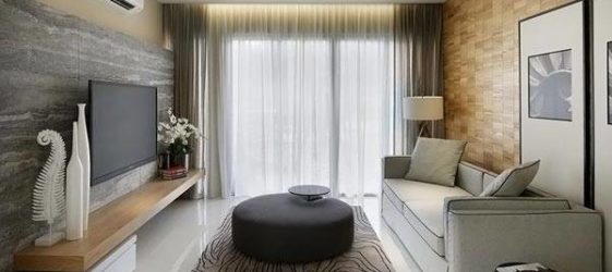 פנים הדירות בתמונה בסגנון מודרני