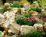 מגלשת אלפיני DIY עם אבנים בארץ: צילום