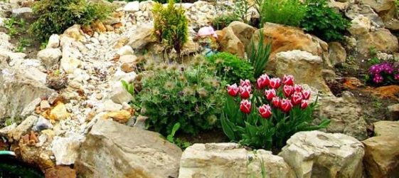 מגלשת אלפיני DIY עם אבנים בארץ: צילום