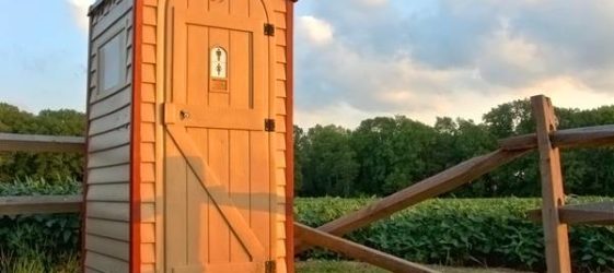 שירותים כפריים עשו זאת בעצמכם: תמונות, ציורים