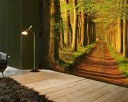 צילום תמונות המרחיב את החלל