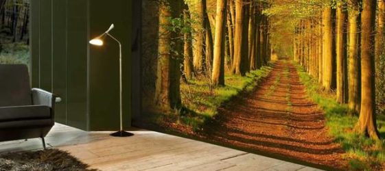 צילום תמונות המרחיב את החלל