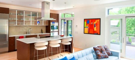 סלון בשילוב מטבח: צילום