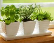 איך להרטיב את האוויר בחדר ללא מכשיר אדים