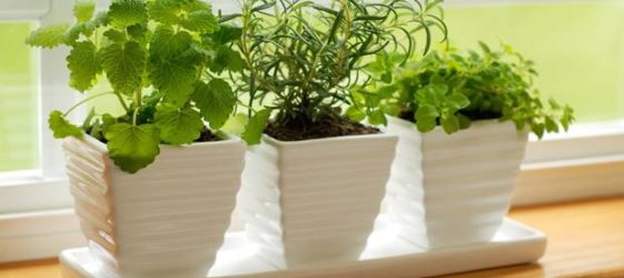 איך להרטיב את האוויר בחדר ללא מכשיר אדים