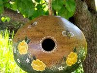 בית ציפורים לדלעת