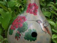 בית ציפורים לדלעת