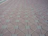 כובע הבישוף (חום) מפעל גותי