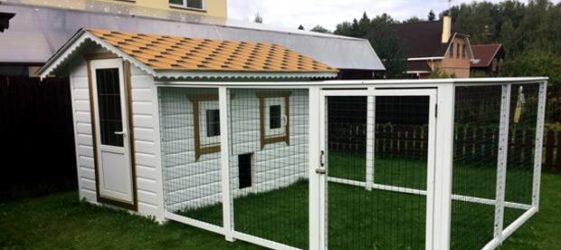 לול חורף DIY ל -20 תרנגולות