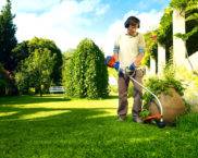 דירוג הדגמים הטובים ביותר של גוזם בנזין