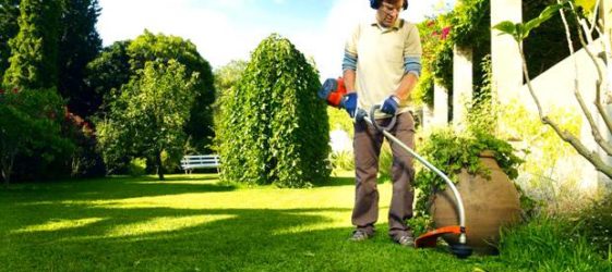 דירוג הדגמים הטובים ביותר של גוזם בנזין