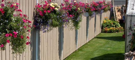 גדרות למעון קיץ: תמונות