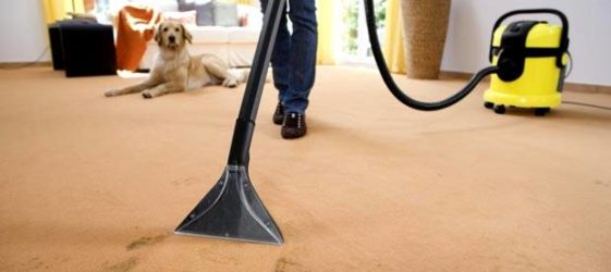 כיצד לבחור שואב אבק כביסה: ביקורות