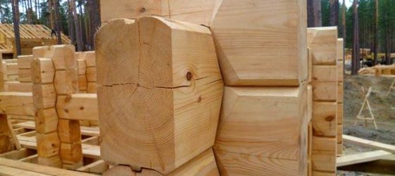 מהי כרכרת נשק