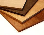 סיבית: מה זה