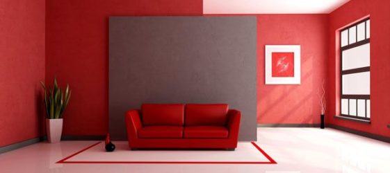 צביעת קירות בדירה: עיצוב, צילום