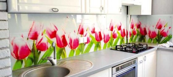 סינר זכוכית למטבח: קטלוג, תמונה