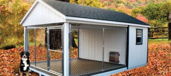 כלוב לכלבים: צילום