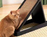 פוסט גירוד לחתול DIY