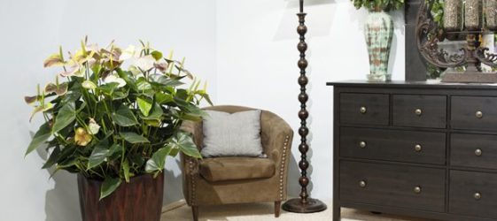 פרחים מלאכותיים לחלל הפנים