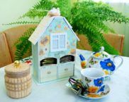 איך מכינים בית תה במו ידיכם