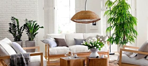 צמחים בחלק הפנימי של בניין מגורים