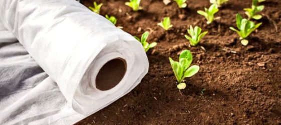 חומר Spunbond: מה זה