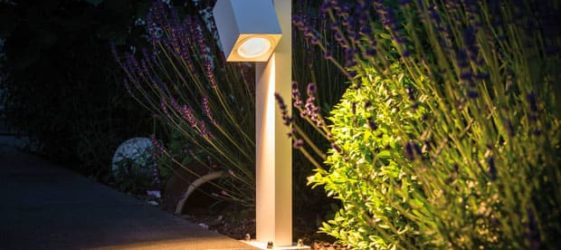 פנס רחוב לד