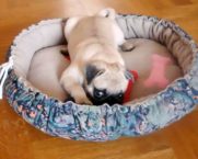 מיטת כלבים עשה זאת בעצמך