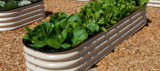 גידור לגינה: רעיונות