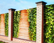 רשת תמונות גדר