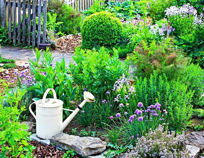 תוכלו לבחור ערוגת פרחים נפרדת לתבלינים או לשתול עשבי תיבול ארומטיים במקומות שונים